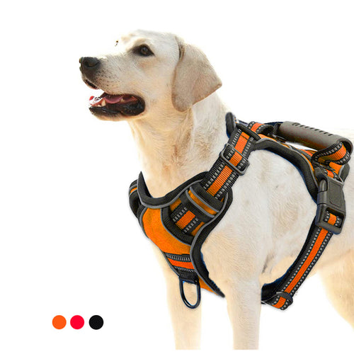 No pull dog harness with reflective straps for safety